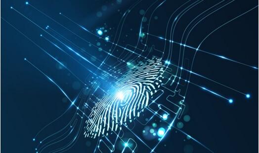 网站分析技巧，手工检测Web网站指纹
