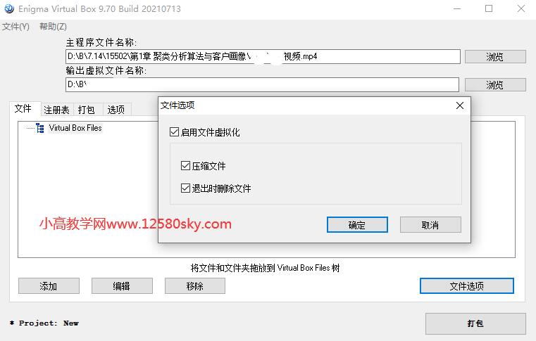 Enigma Virtual Box v9.71汉化版