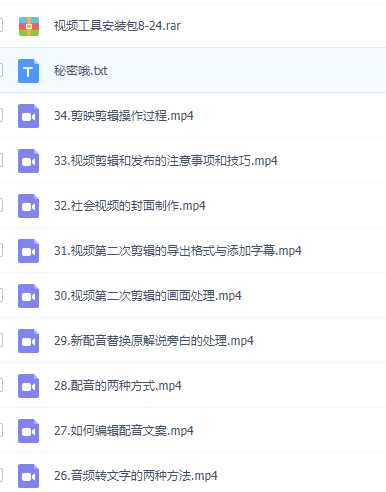 星哥抖音中视频课价值6980元